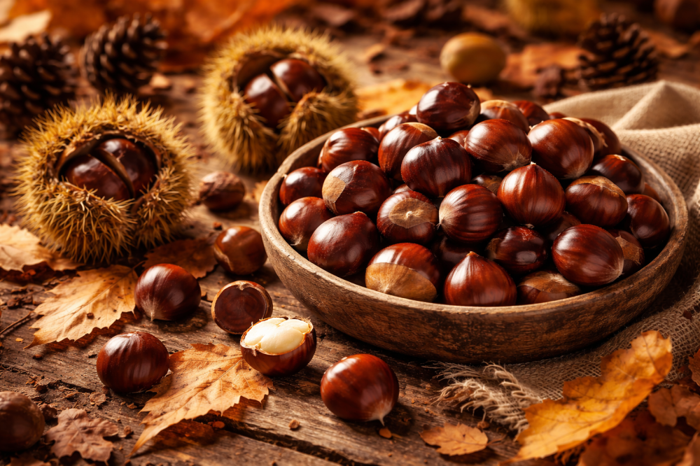 Κάστανα: η πιο “χουχουλιάρικη” γεύση του φθινοπώρου